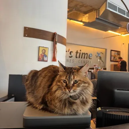 Appartement Ithaki Phinikoudes No. 105