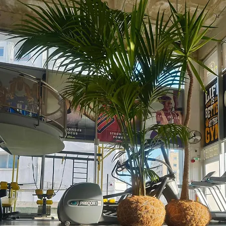 Ithaki Phinikoudes No. 105 *