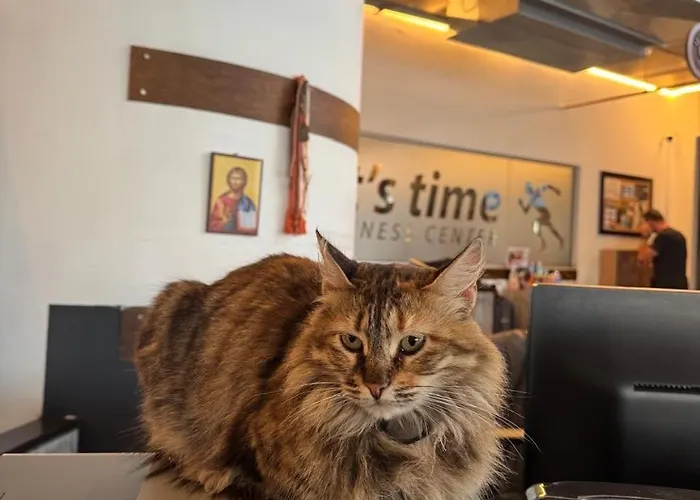 Appartement Ithaki Phinikoudes No. 105