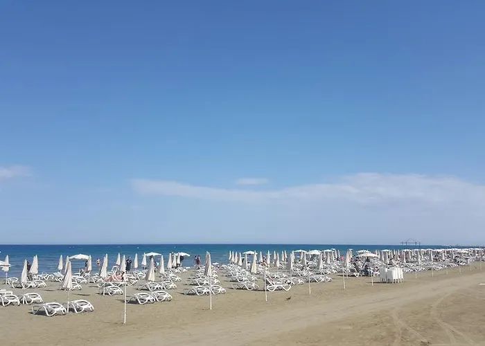 Ithaki Phinikoudes No. 105 Larnaca